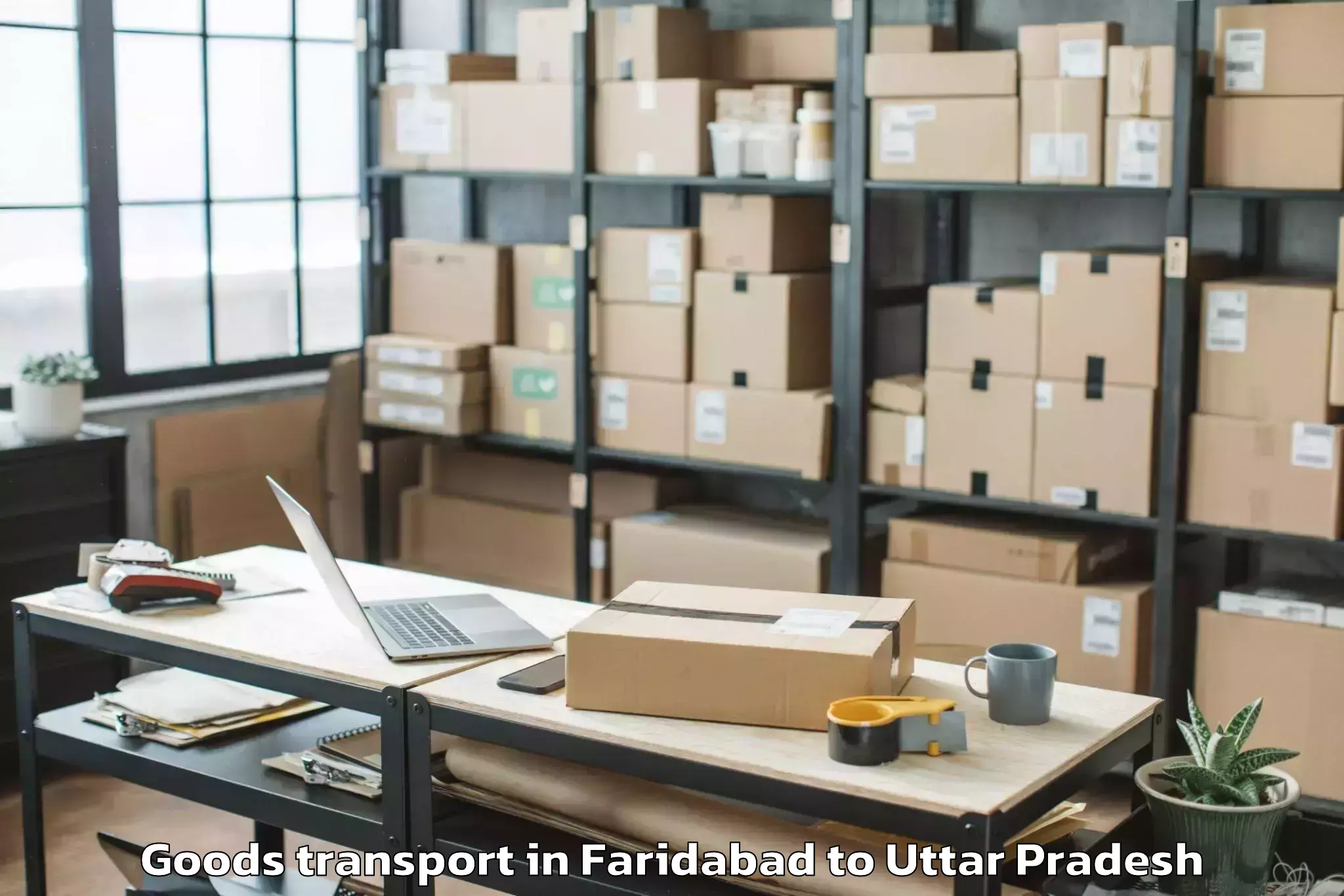 Efficient Faridabad to Bhiti Goods Transport